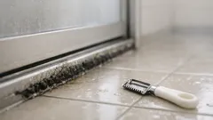 ダイソーの栗ピーラーが浴室ドアの黒い水アカに効く理由と安全な使い方